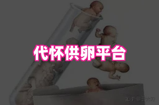厦门助孕网站 2